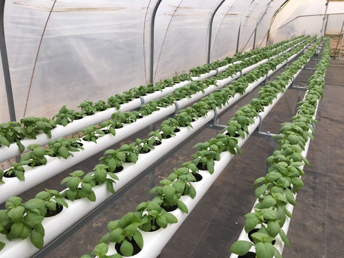 Implementación de naves hidropónicas de producción en parques agroindustriales