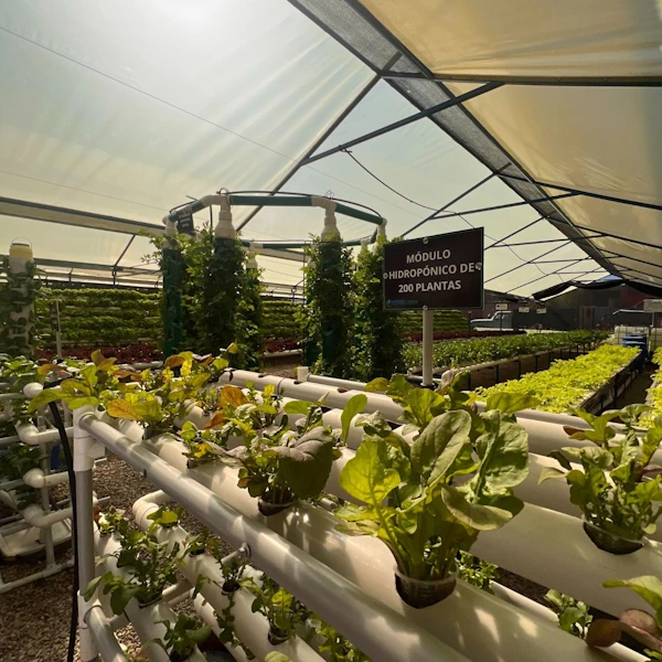 Parque Agroindustrial Sostenible “Grow Green”